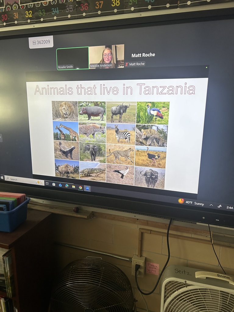 Maplehurst Elementary is celebrating right to read week with a theme of "book an adventure". Guest readers are coming in each day to read to the students in their classrooms. First grade students in Mrs. Kingsborough's class went on an adventure to Africa! Former Norwalk resident Maddie (Roche) Anderson lives in Africa with her husband. Maddie read to the students today via zoom from Africa.  Maddie read a story her dad wrote when she was little and her sister illustrated it. Because Africa is eight hours ahead of us, it was 10:30 at night there so Maddie shared pictures she had taken with the students.  She spoke to them about the weather, the landscape, the animals, the currency and the foods they eat.  The students were not excited about the idea of eating bugs-which is something people in Africa eat.  A student asked Maddie why they eat bugs and she responded that many people in Africa are poor and cannot afford to buy food and bugs are free.  The students were attentive and engaged and asked many good questions. We are grateful to have had this opportunity. 
