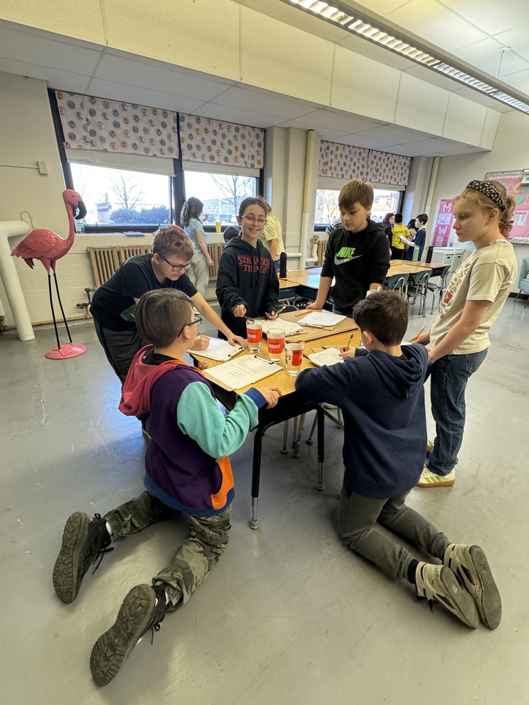 Fifth graders on the Gold Stars team wrapped up their sound energy unit with hands-on labs!  They experimented with manipulating sound waves, creating different pitches, and discovering how sound can be reflected or absorbed.  They're excited to move on to light waves next!