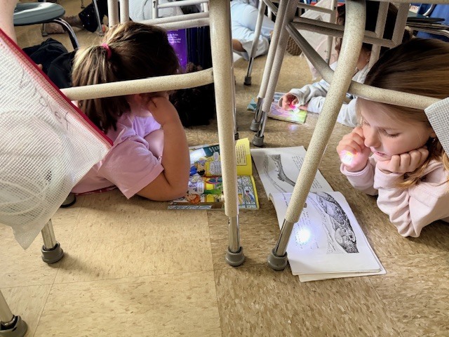 Mrs. Steinwart's class has had a great Right to Read Week.  We have had amazing guest readers, went on a virtual field trip to the Toledo Zoo, read under our desks with flashlights, and went to the book fair to get some new books.  