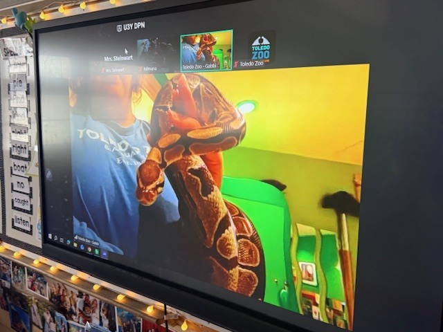 Mrs. Steinwart's class has had a great Right to Read Week.  We have had amazing guest readers, went on a virtual field trip to the Toledo Zoo, read under our desks with flashlights, and went to the book fair to get some new books.  