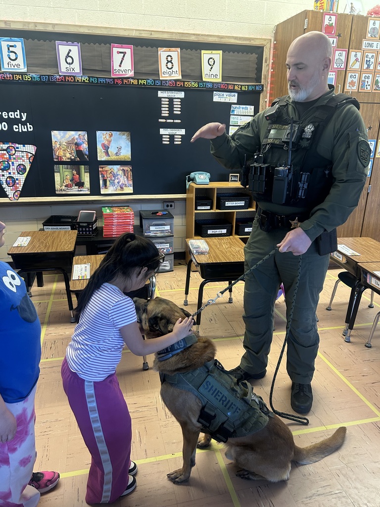 This week, Deputy Josh Young and his K9, Esco, visited 1st grade classrooms at Maplehurst Elementary after students learned about people working with animals in their reading curriculum. The students loved learning all about Esco’s training and his duties!  