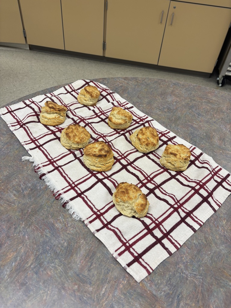 Double periods=free lab in Foods class! Students worked in groups to plan what they wanted to make in class. Some of the dishes included Chicken Fettuccine Alfredo, Sausage gravy and biscuits, and strawberry shortcake cake! 