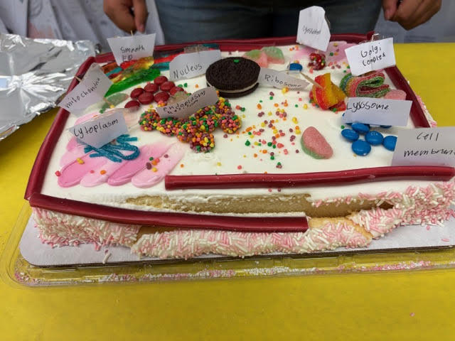 Mrs. Bergman's 6th grade  Science class - Edible cell model projects