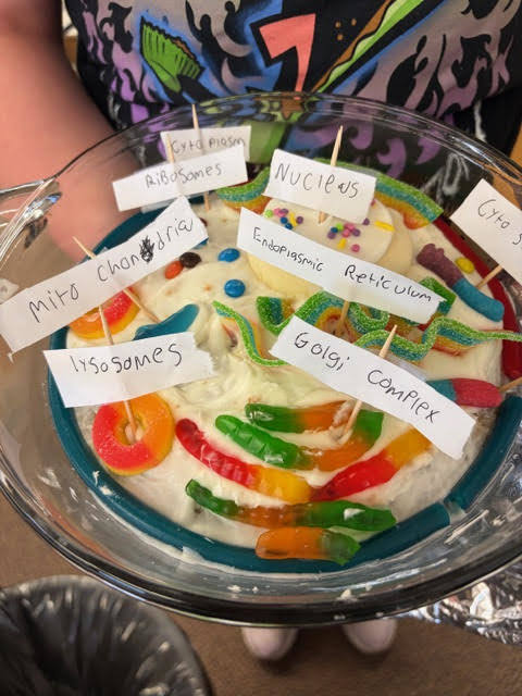 Mrs. Bergman's 6th grade  Science class - Edible cell model projects