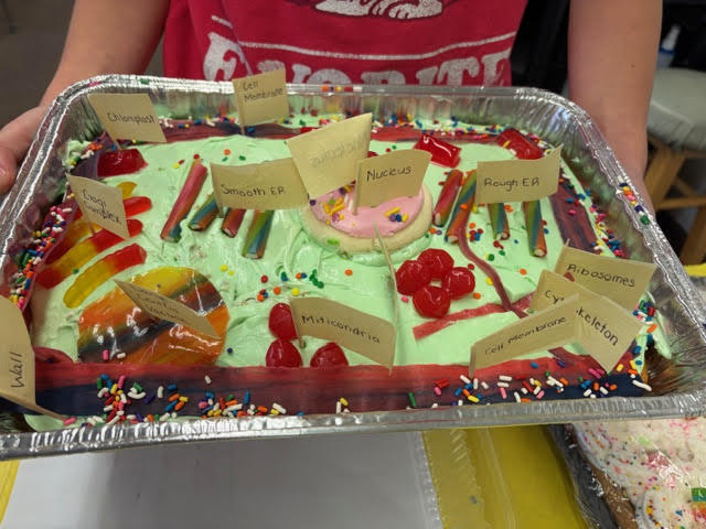 Mrs. Bergman's 6th grade  Science class - Edible cell model projects