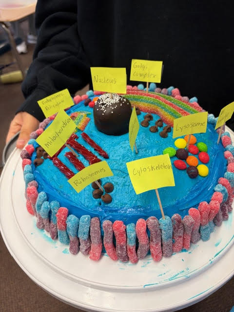 Mrs. Bergman's 6th grade  Science class - Edible cell model projects
