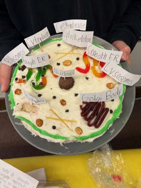 Mrs. Bergman's 6th grade  Science class - Edible cell model projects