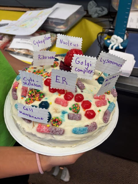 Mrs. Bergman's 6th grade  Science class - Edible cell model projects