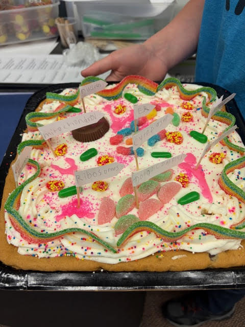 Mrs. Bergman's 6th grade  Science class - Edible cell model projects