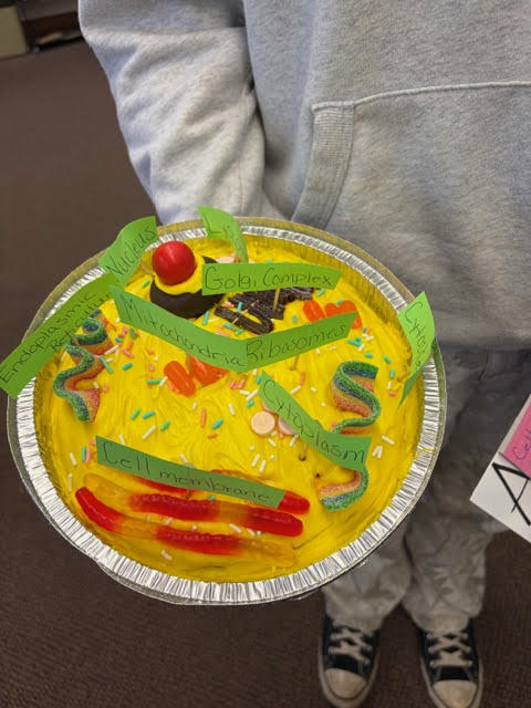Mrs. Bergman's 6th grade  Science class - Edible cell model projects