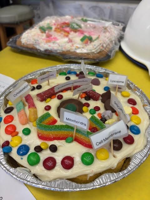 Mrs. Bergman's 6th grade  Science class - Edible cell model projects
