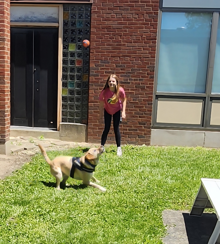 “Remember when I told you I couldn’t wait for spring? Well, it’s here! Because our 6th graders have been positive, polite, and prepared, I got to have some fun! Playing fetch in the courtyard and tic-tac-toe made this week pawsome! I can’t wait for more fun soon. Stay in the game!” ~ Kepler, SFD