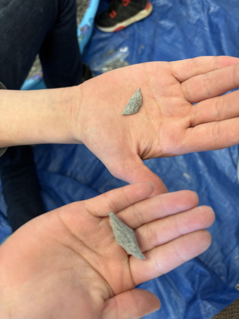 Mrs. Bergman’s science class became paleontologists during a fossil dig using shale from Sylvania, Ohio! Students discovered real fossils including brachiopods, coral, and other ancient marine life hidden inside the rocks. This activity helped students learn about fossils, sedimentary rocks, and how Ohio was once covered by an ancient sea hundreds of millions of years ago. The best part — students were able to keep the fossils they found! 