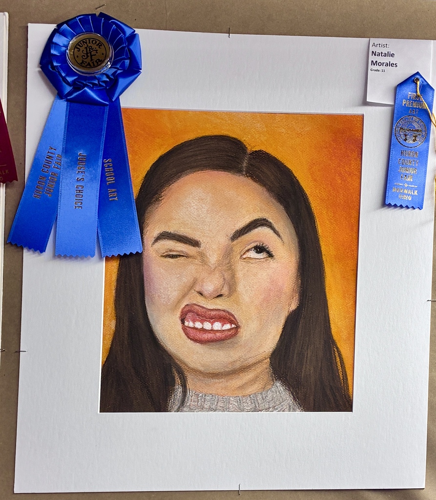 Congratulations to Braydan Weinert and Natalie Morales who won the 2D and 3D Best of Show at the Huron County Fair.