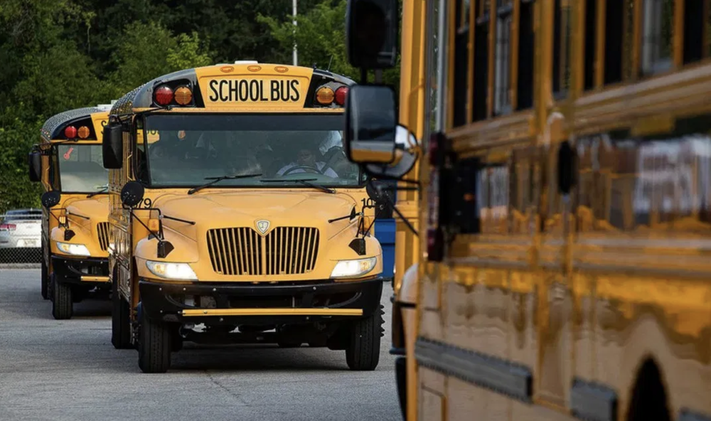 school busses