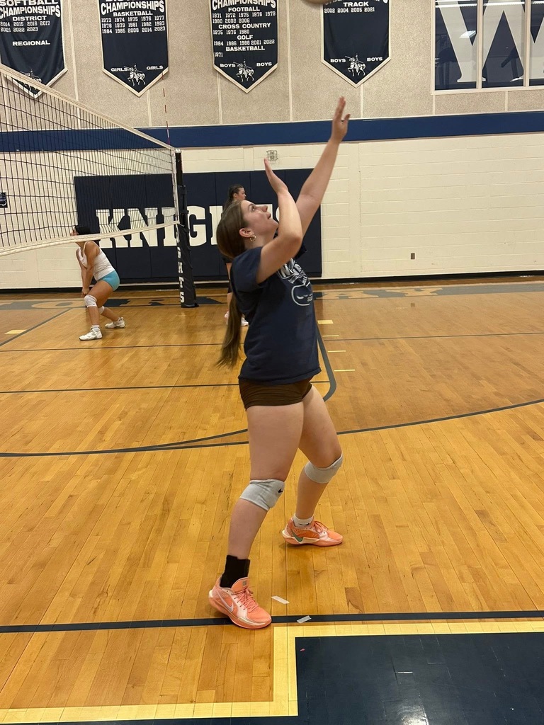 Volleyball Practice