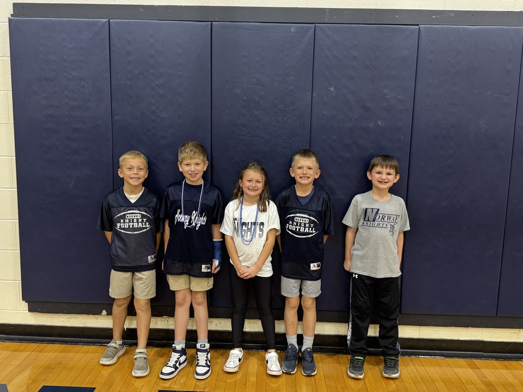 Elementary Kids Dressed up in knight gear!