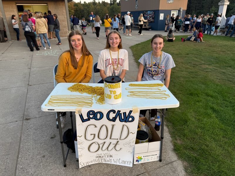 Gold out dress up