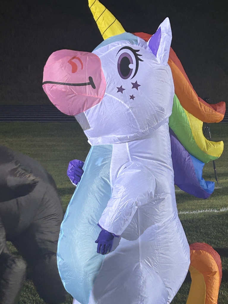 Staff in inflatable costumes