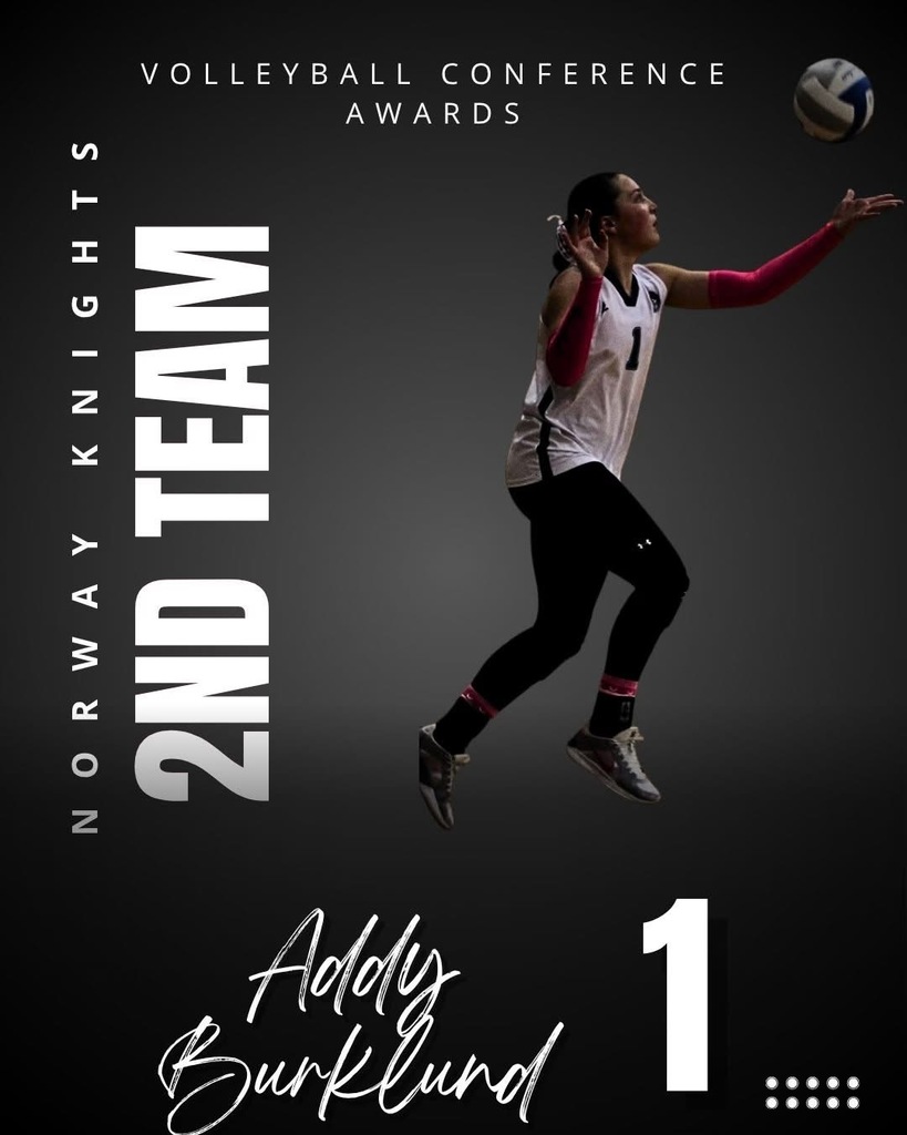 Volleyball Conference Awardee