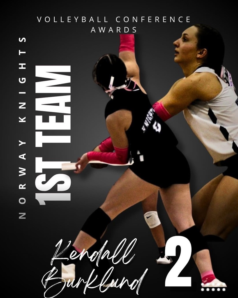 Volleyball Conference Awardee