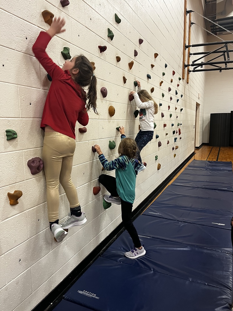 Students climbing the rock wall