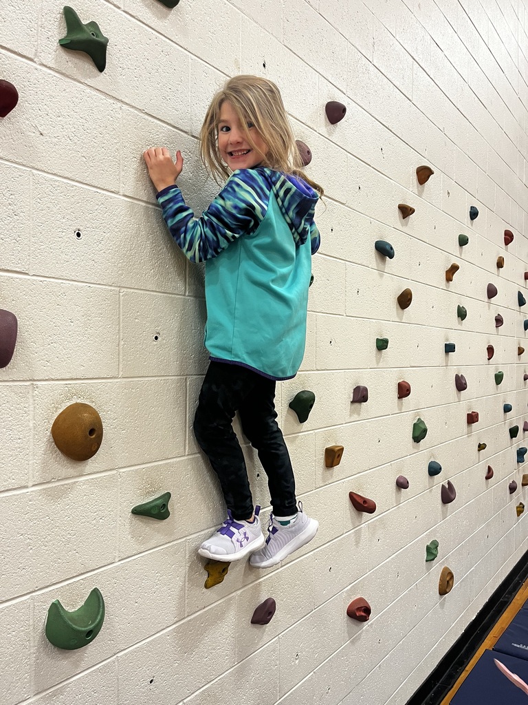 Student on the rock climbing wall
