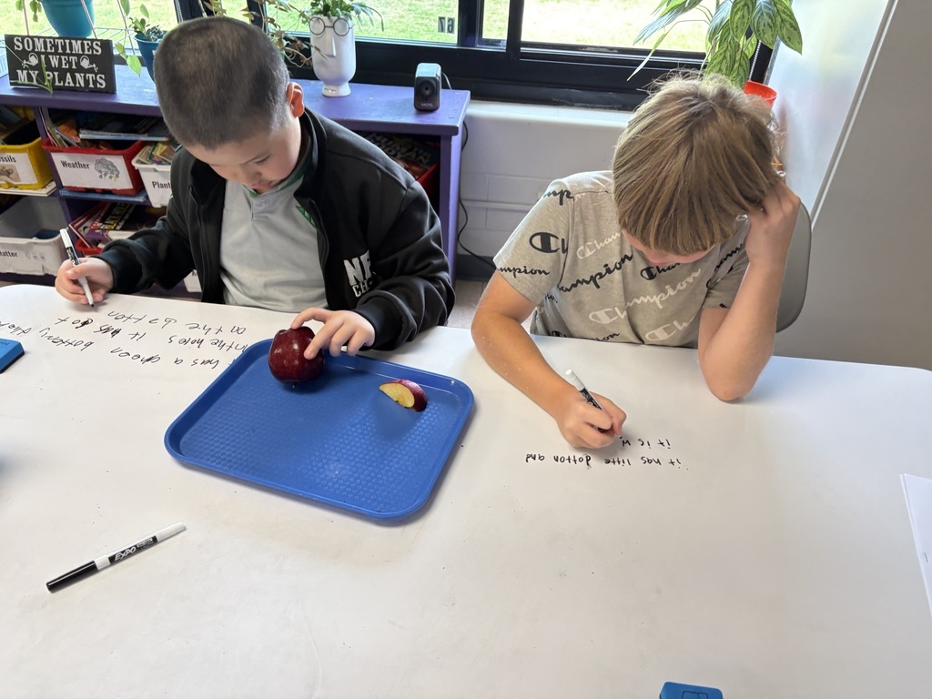 students writing ideas based on what they observe