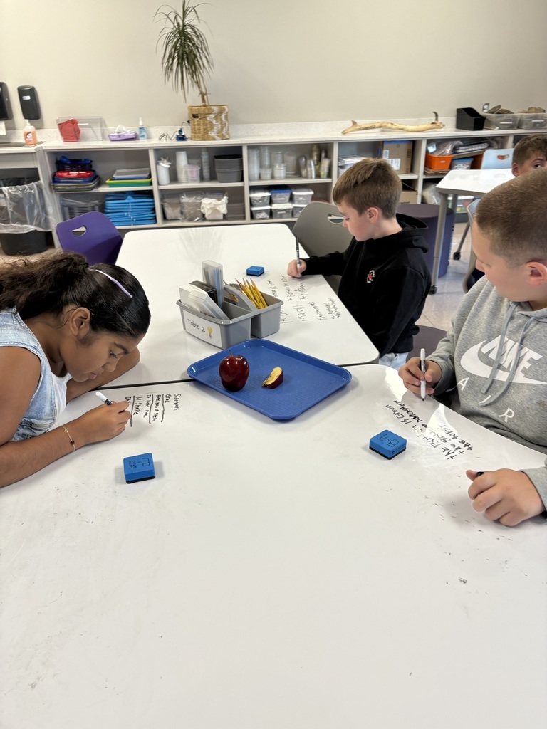 students writing ideas based on what they observe