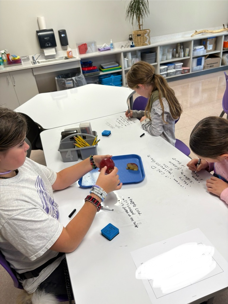 students writing ideas based on what they observe