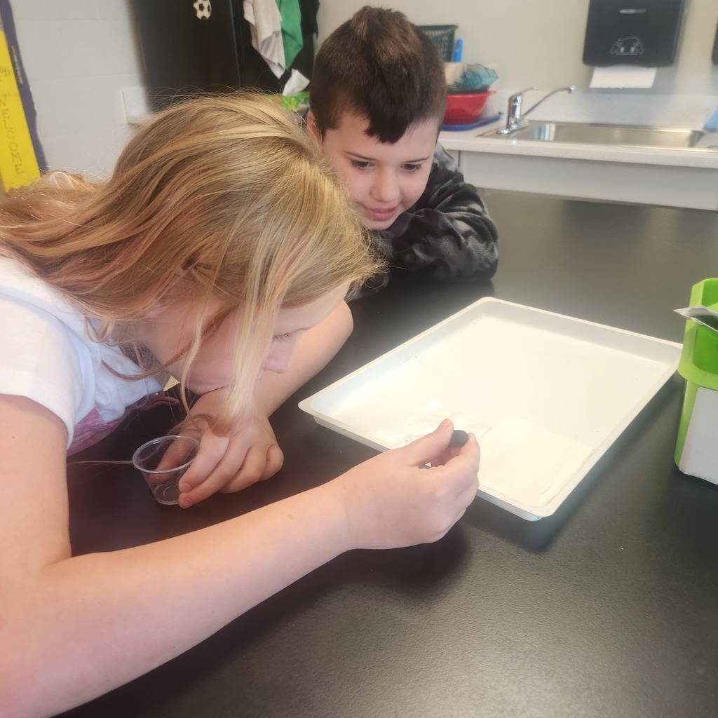 Third Grade Science