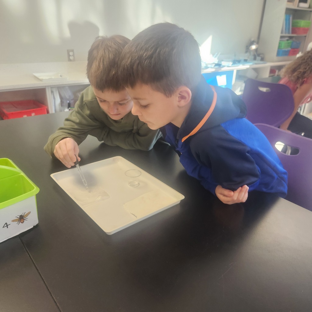 Third Grade Science