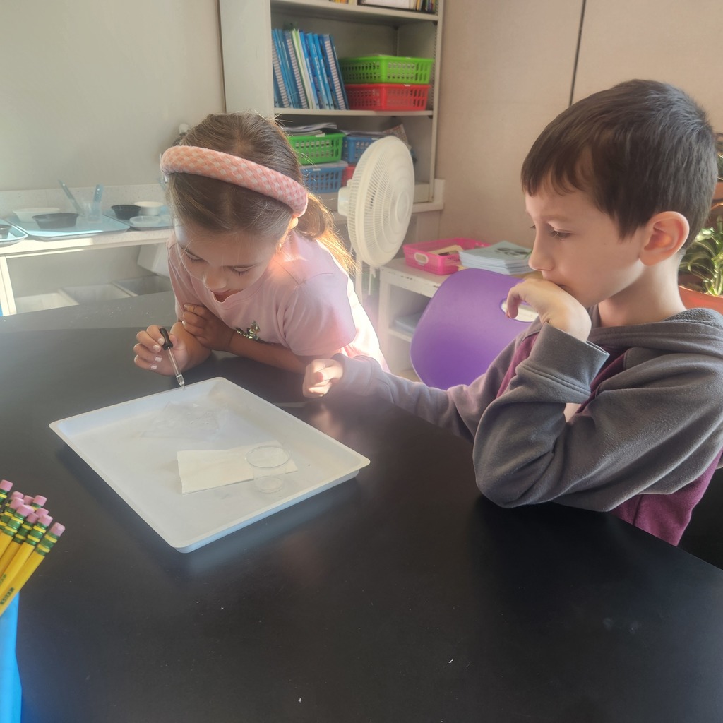 Third Grade Science