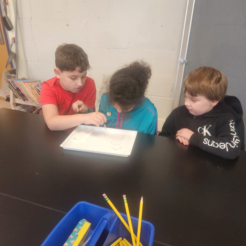 Third Grade Science