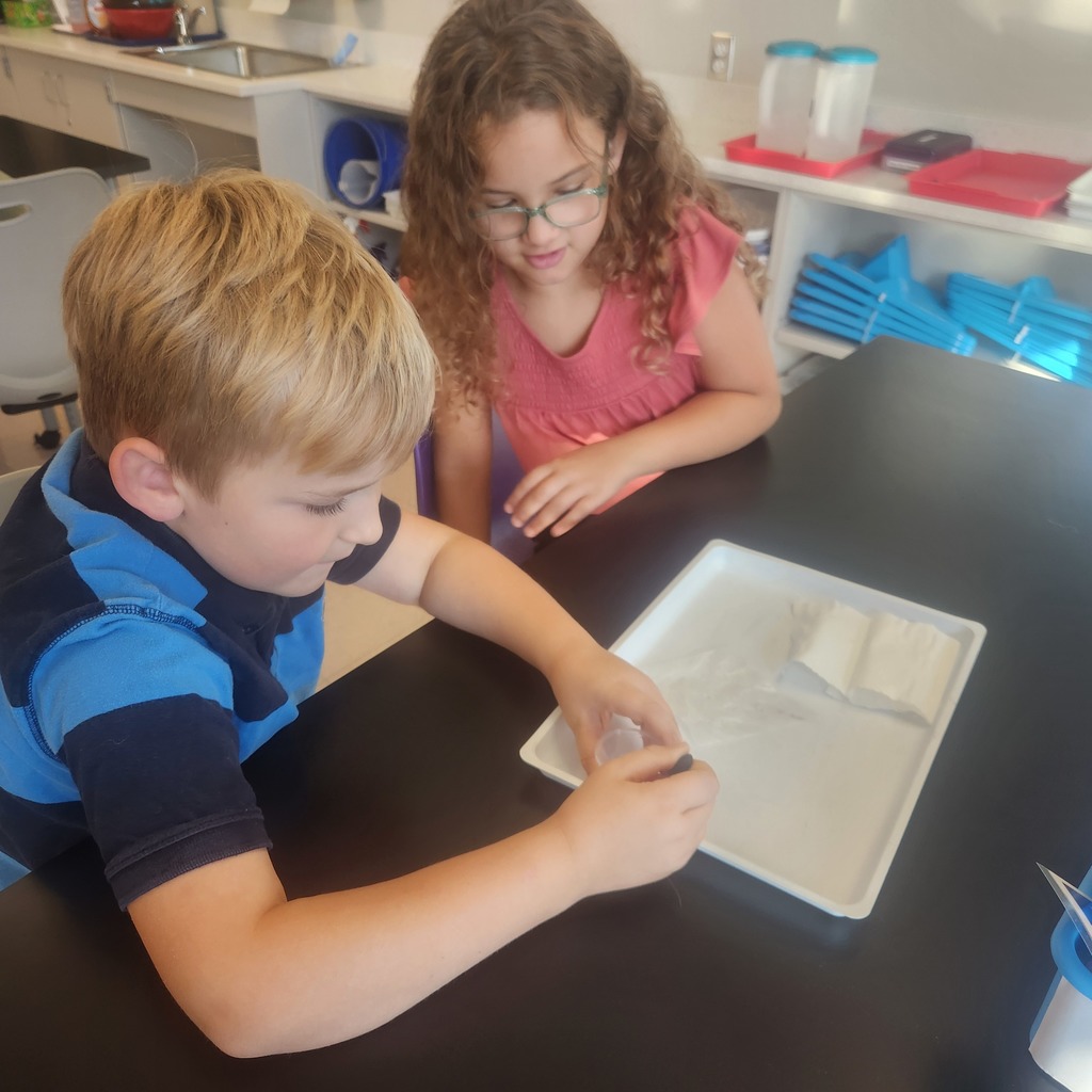 Third Grade Science