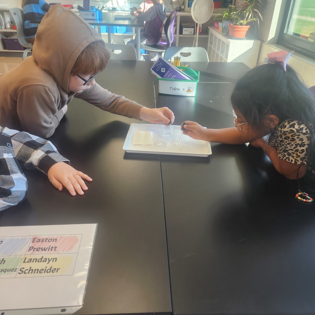 Third Grade Science