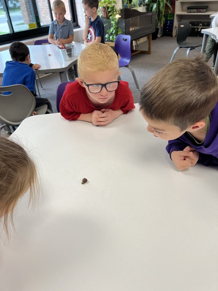 prek 