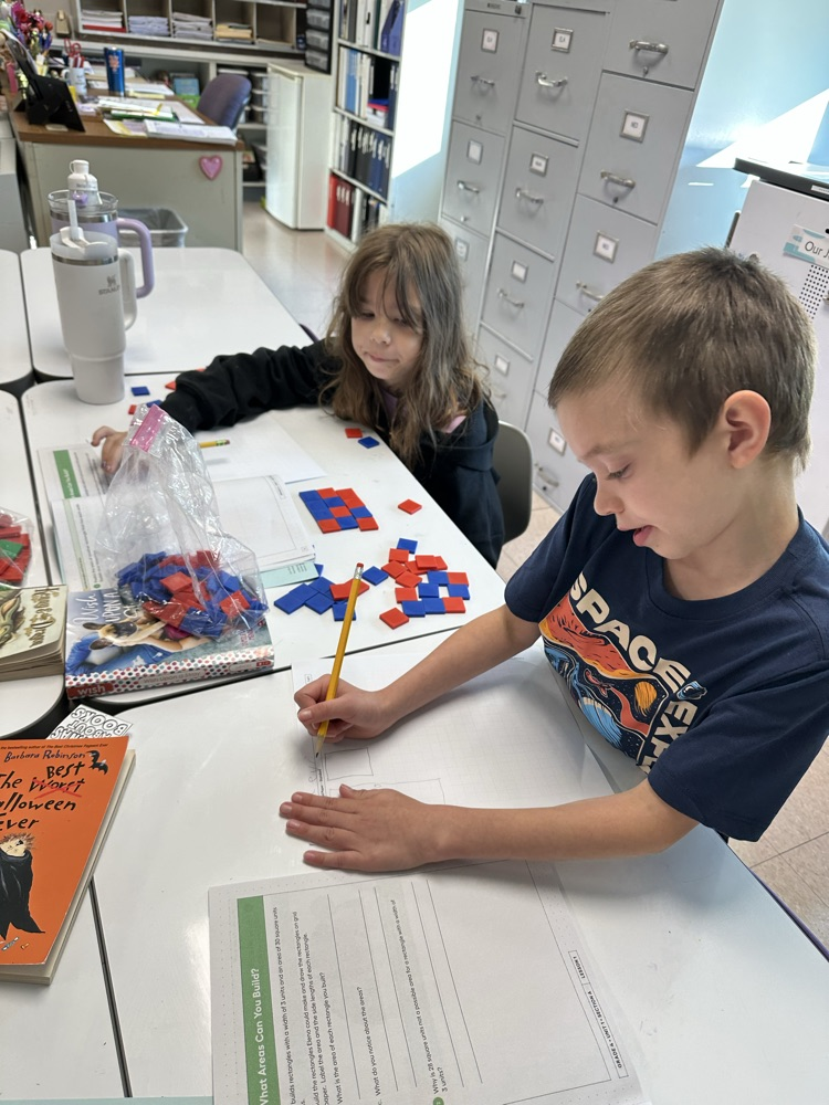 Working with math partners