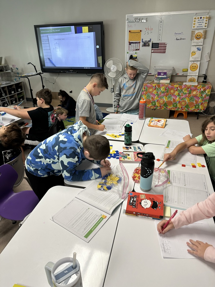 Working with math partners