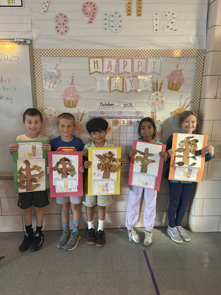 2nd grade math graphs