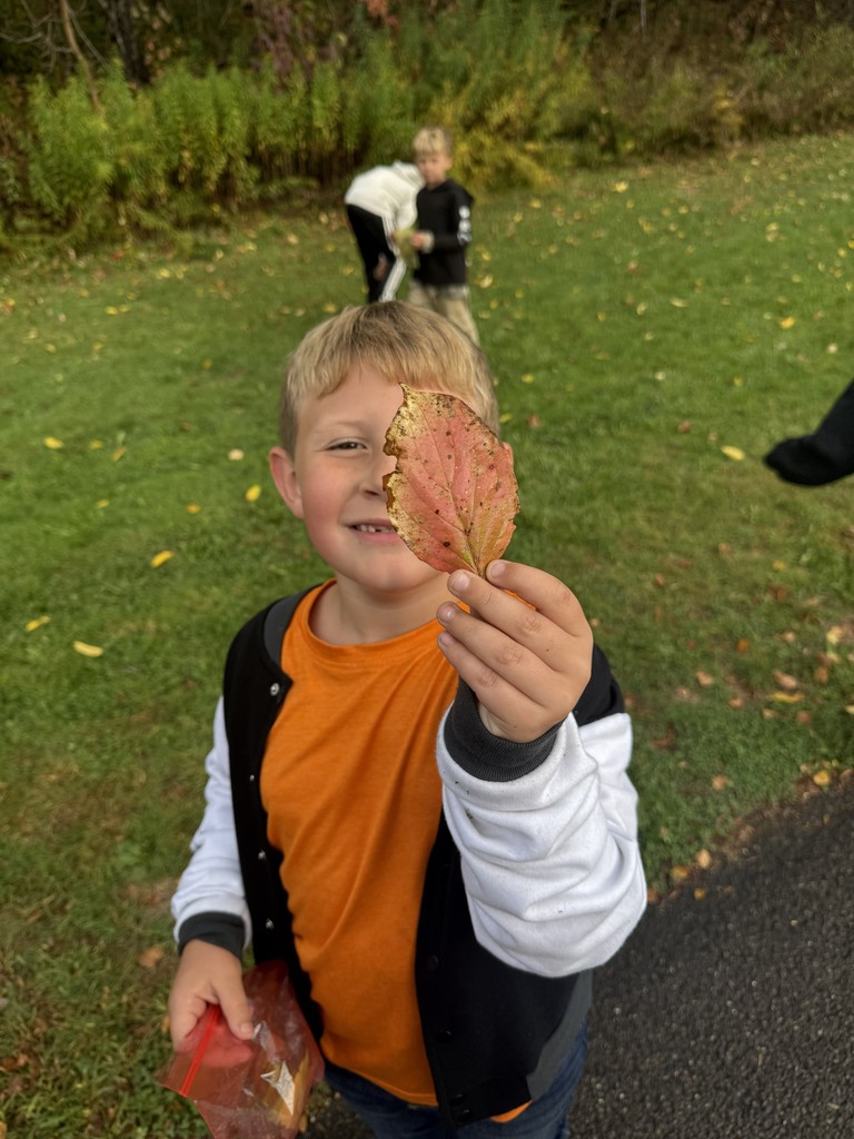 2nd grade math graphs