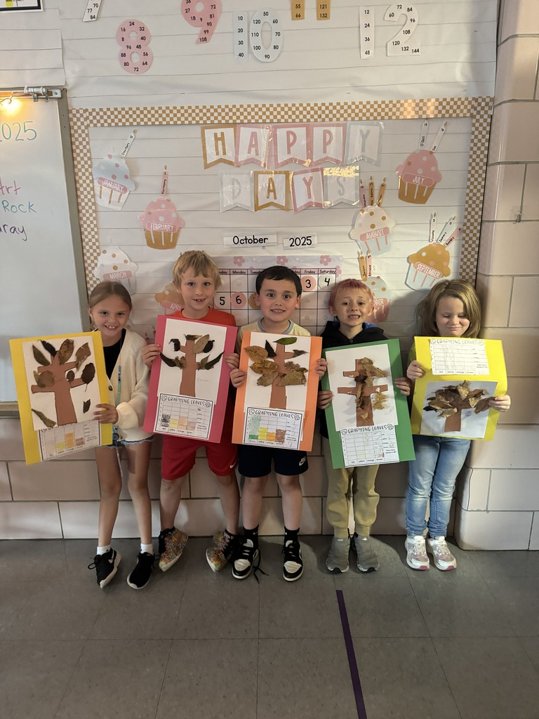 2nd grade math graphs