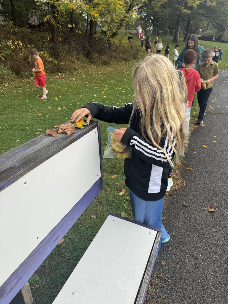 2nd grade math graphs