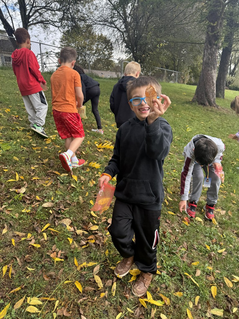 2nd grade math graphs