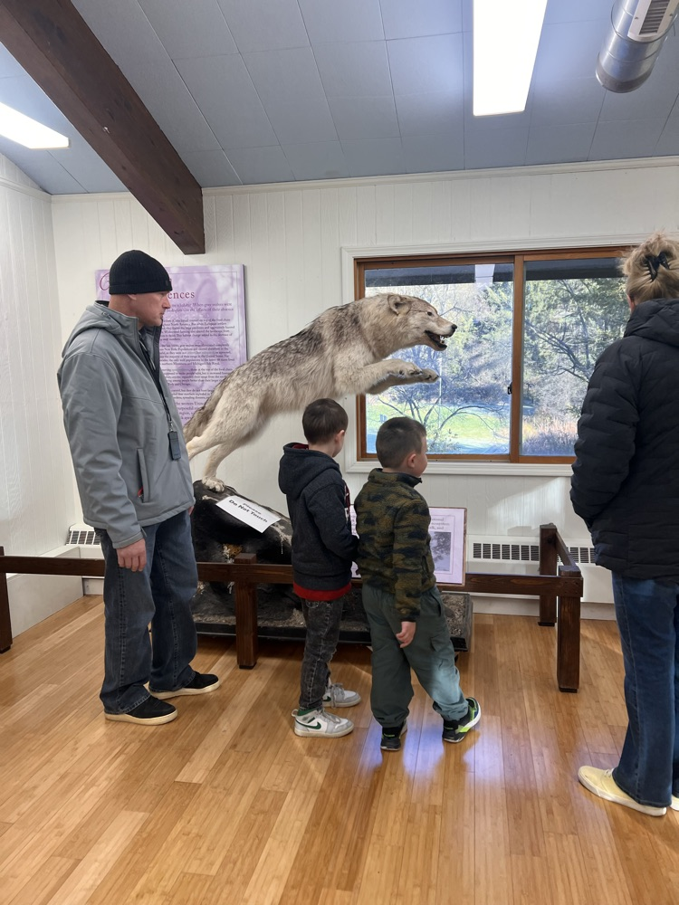 Learning about wildlife!