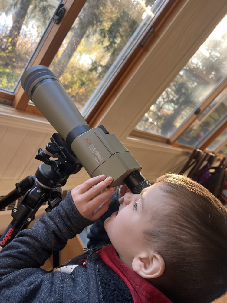 Learning about wildlife!