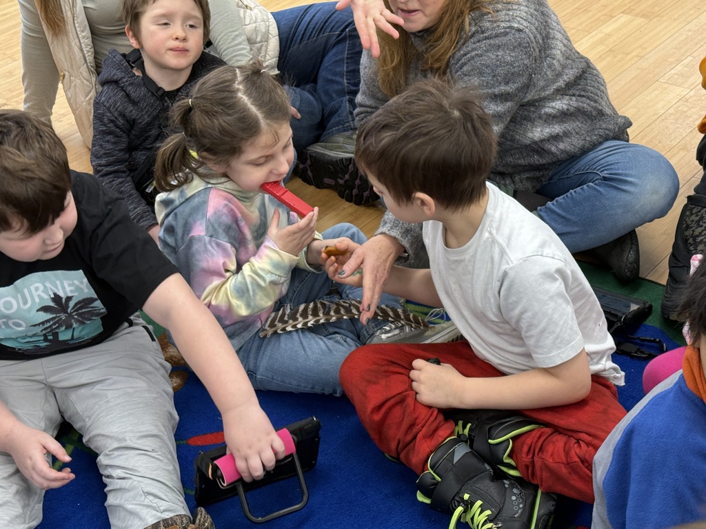 Learning about different animals and their tracks.