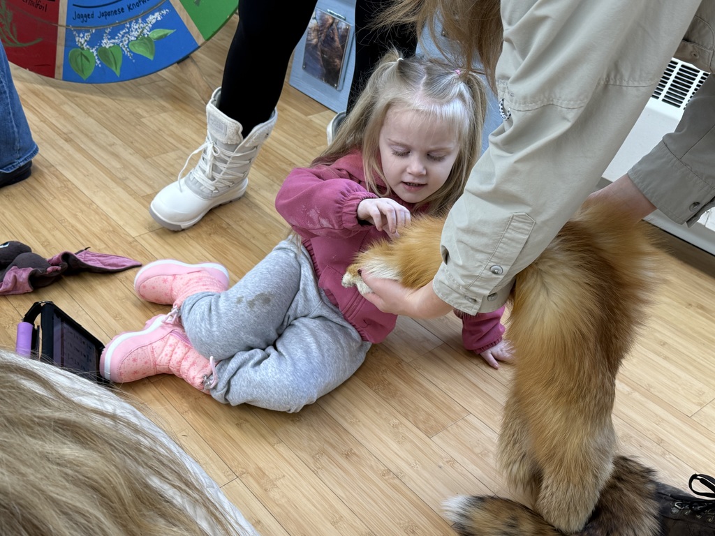 Learning about different animals and their tracks!