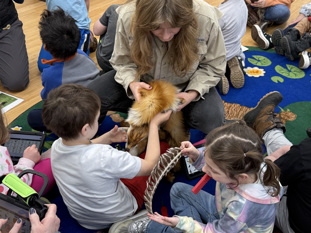 Learning about different animals and their tracks.