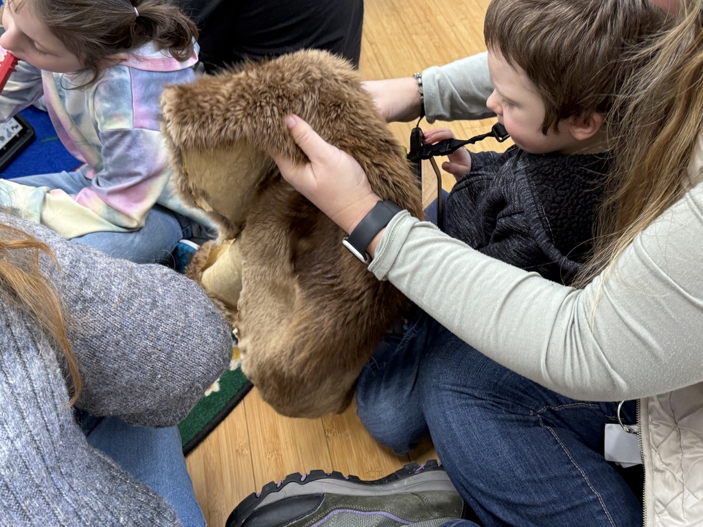 Learning about different animals and their tracks.